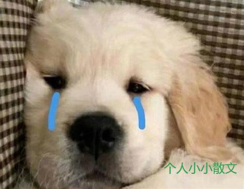 生理期适合发朋友圈的句子_伤感句子