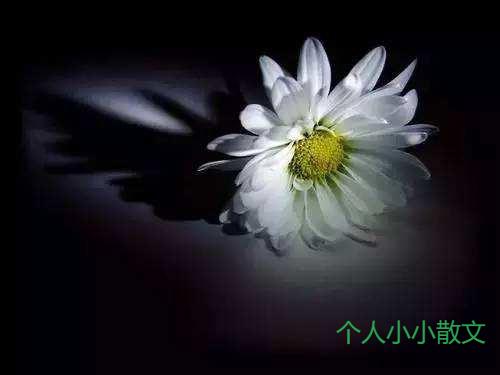 老人去世祝愿走好的话_伤感句子 老人去世祝愿走好的话_伤感句子