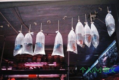 抖音感情语录心痛的句子_伤感句子