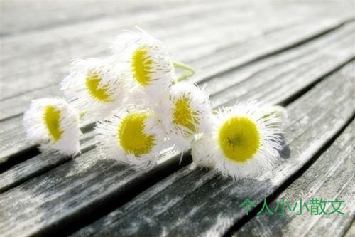 全靠死撑的心酸句子_伤感句子 全靠死撑的心酸句子_伤感句子