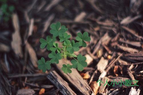 心情低落发朋友圈的文案_伤感句子 心情低落发朋友圈的文案_伤感句子