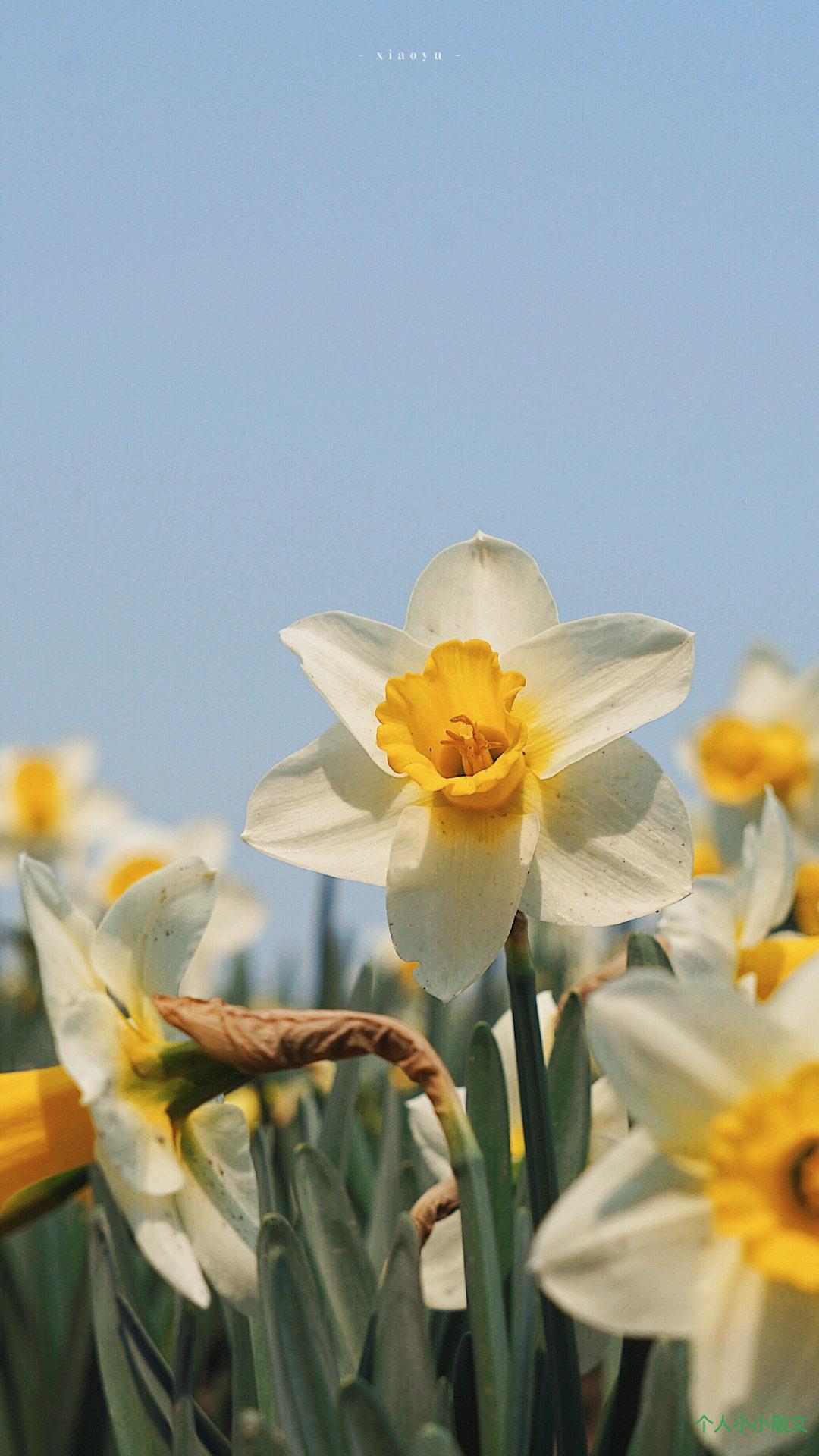 不被需要的伤心句子_伤心的句子