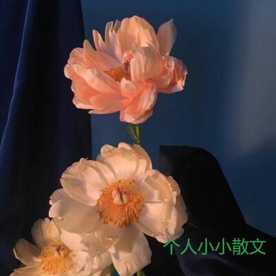 2022伤心难过的句子_伤心的句子