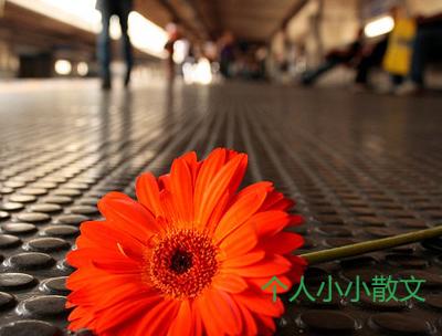 容身心疲惫的说说_伤心的句子