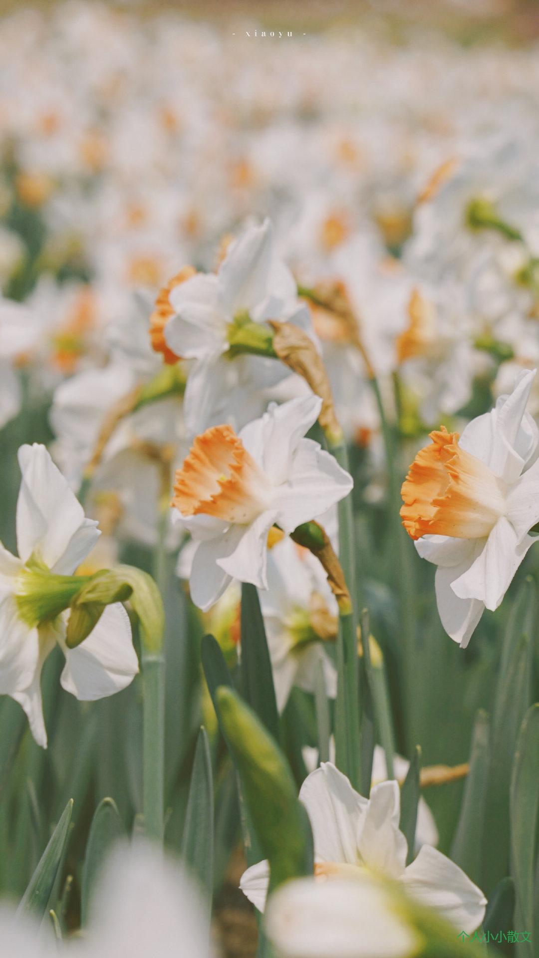 爱得太深的伤心句子_伤心的句子 爱得太深的伤心句子_伤心的句子