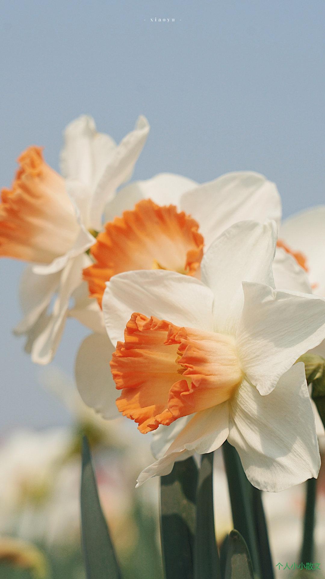 爱得太深的伤心句子_伤心的句子 爱得太深的伤心句子_伤心的句子