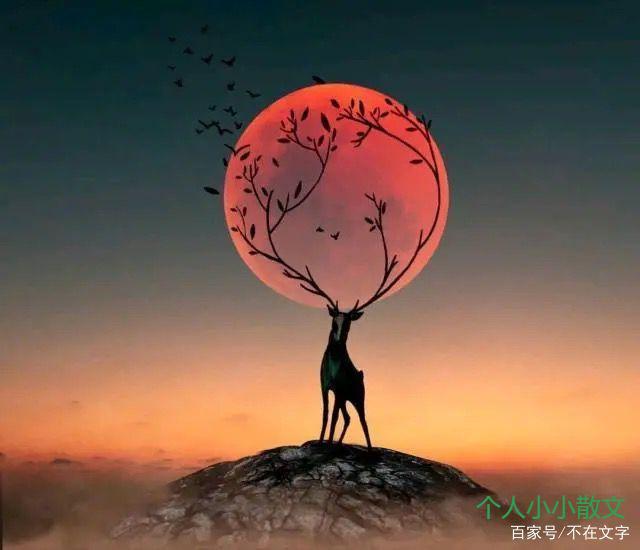 一秒泪崩的句子,深夜勿看,容易哭! 一秒泪崩的句子,深夜勿看,容易哭!