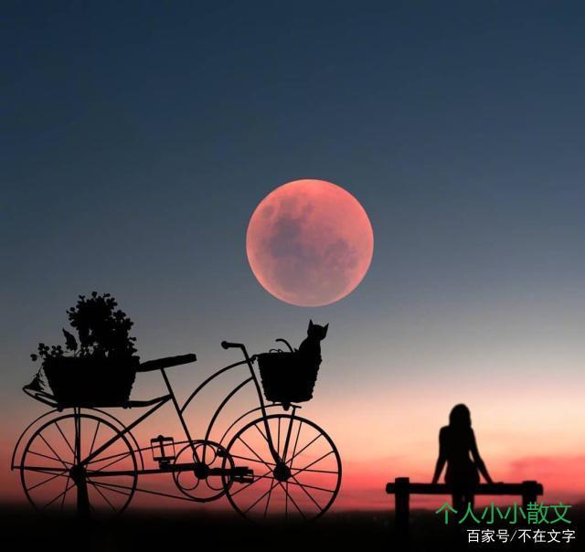 一秒泪崩的句子,深夜勿看,容易哭! 一秒泪崩的句子,深夜勿看,容易哭!