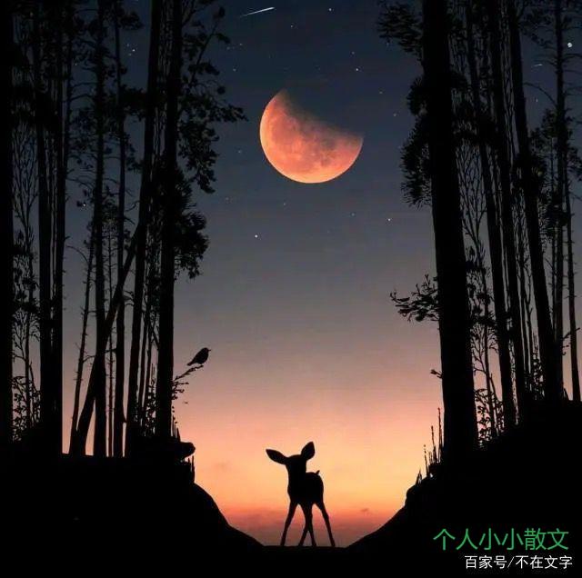 一秒泪崩的句子,深夜勿看,容易哭! 一秒泪崩的句子,深夜勿看,容易哭!