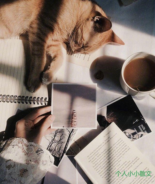 最伤感的爱情语录，句句扎心，疼到骨子里！