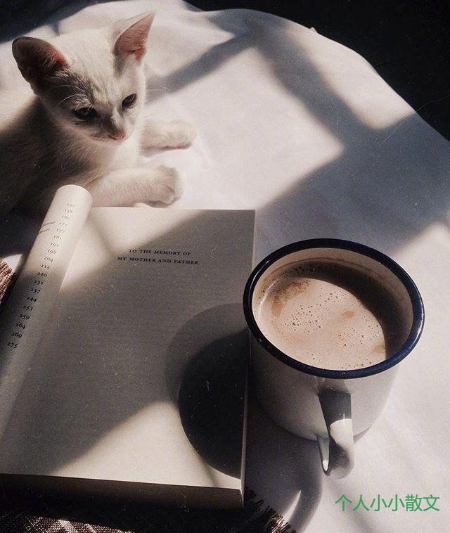 最伤感的爱情语录，句句扎心，疼到骨子里！