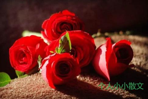 世间的情 ，人间的爱，