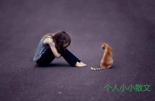 关于你，我有太多东西关于你