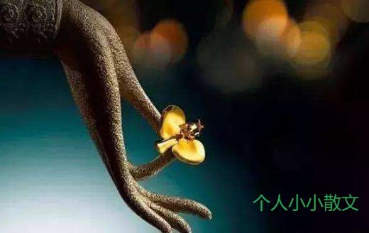 欣赏，比占有更重要