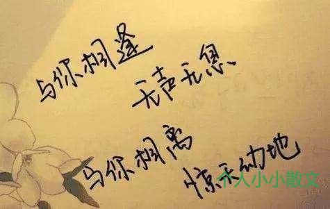 自从遇见你