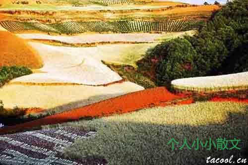 就算是两颗微不足道的尘土,也要学会热烈地相亲相爱