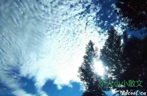 原谅时光记住爱