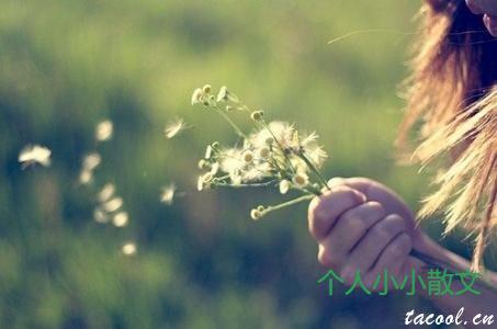 你的美与我爱你无关