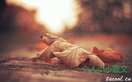 你的美与我爱你无关