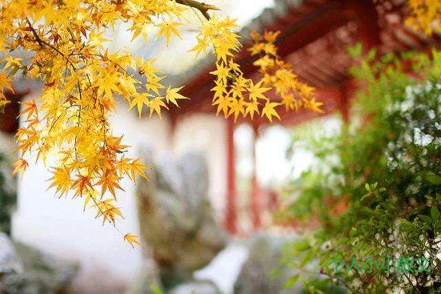 凉秋暮商，人生渐远