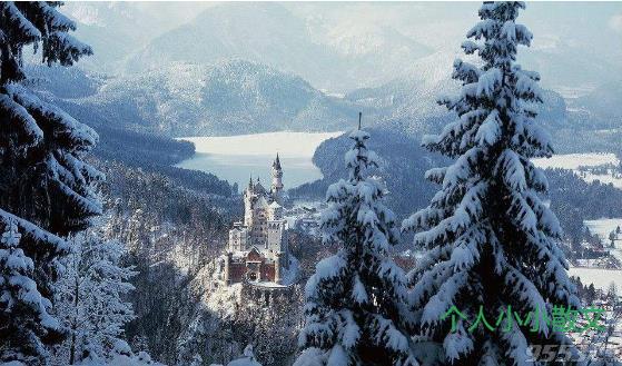 高贵和自由（深度好文）