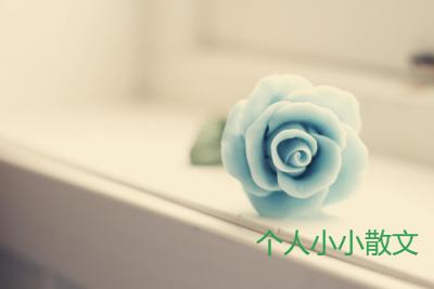 玫瑰从来不慌张