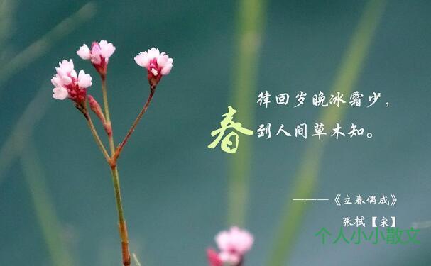   最是一年春好处