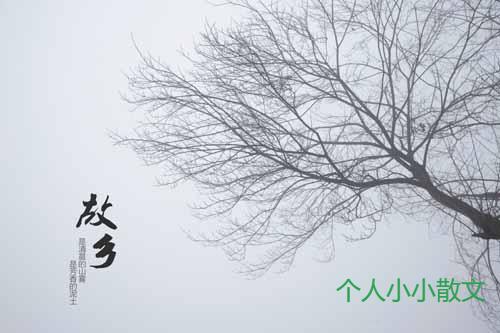 故乡的原风景 故乡的原风景