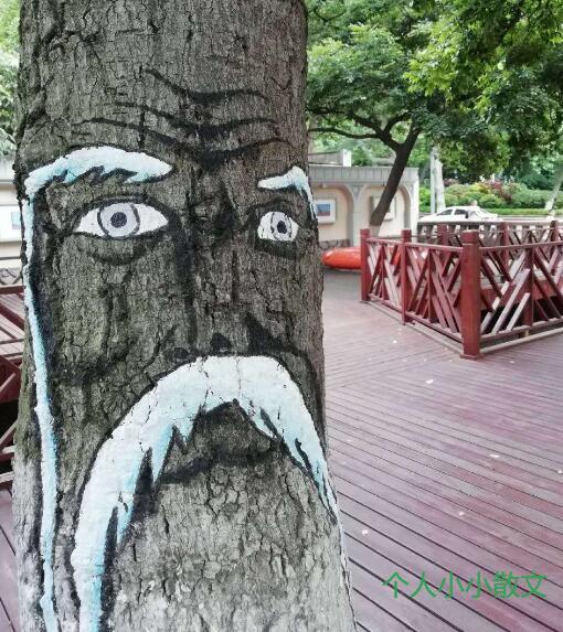 最美大学路 最美大学路