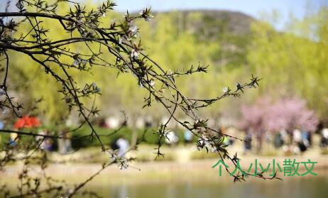  最是一年春好处