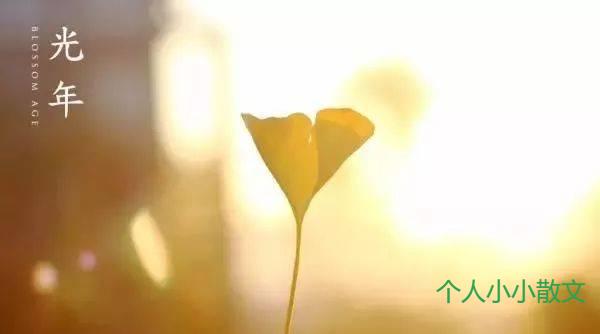 如水的年华 如水的年华