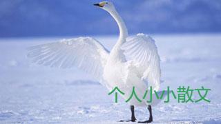 懂你， 比喜欢你， 更重要！