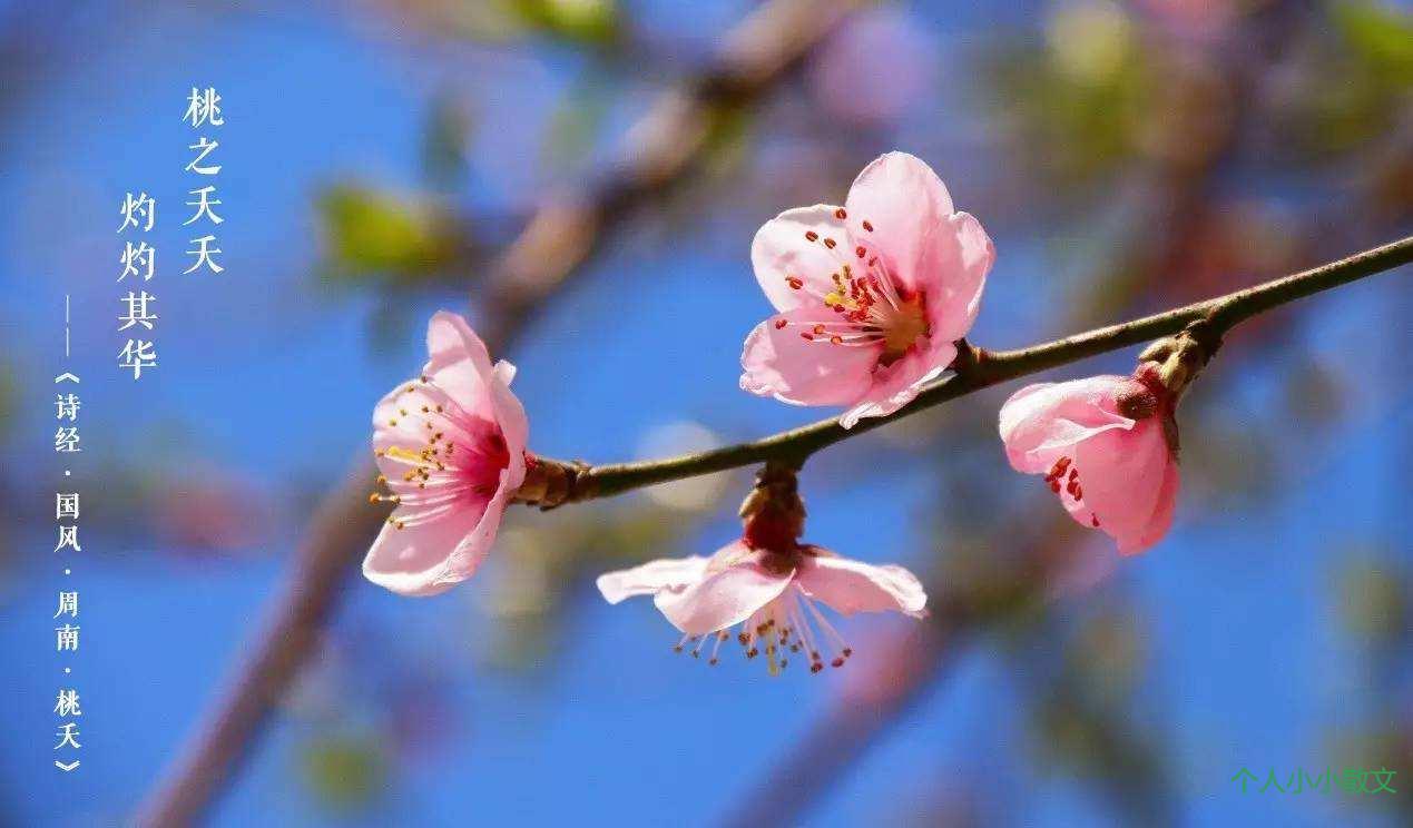 跨越千年,看那人那景 跨越千年,看那人那景
