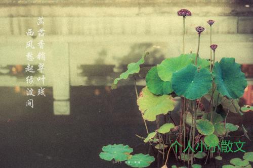 细雨何愁 细雨何愁