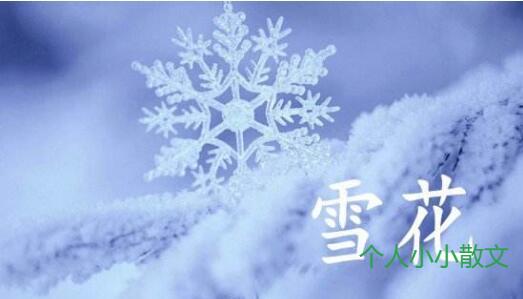 雪花飞舞冬意浓 雪花飞舞冬意浓