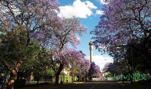 寻找生活中的美丽 寻找生活中的美丽