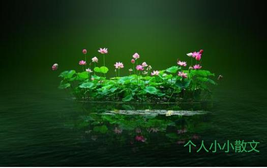 观察日记100字