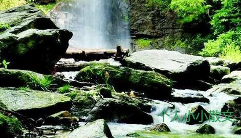 金盆山殇 金盆山殇