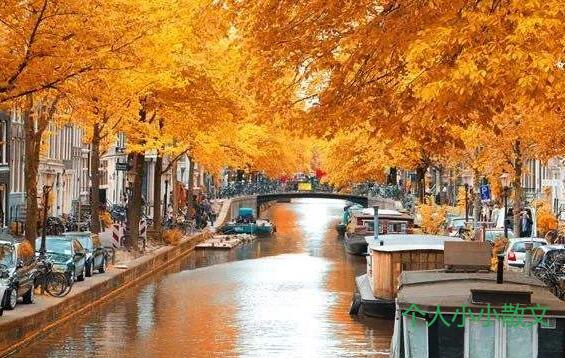 正月：我在春的路口，等你