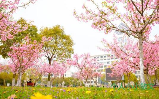 正月：我在春的路口，等你