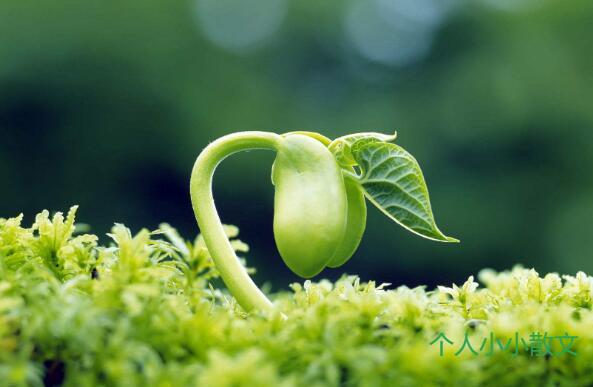 《生命》 《生命》