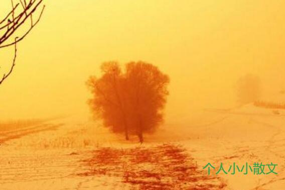 冬季畅想曲（原创）