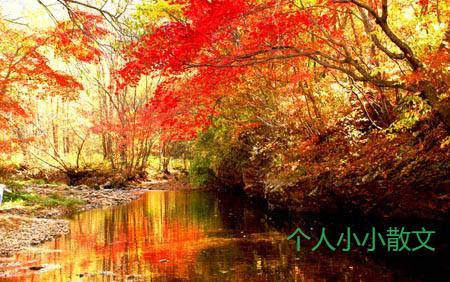 秋日偶感 秋日偶感
