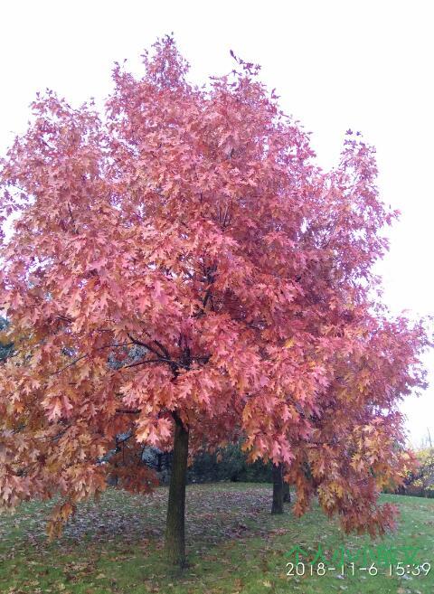 北美风情 北美风情