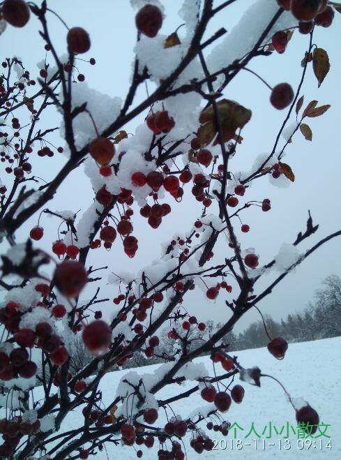 北美风情 北美风情