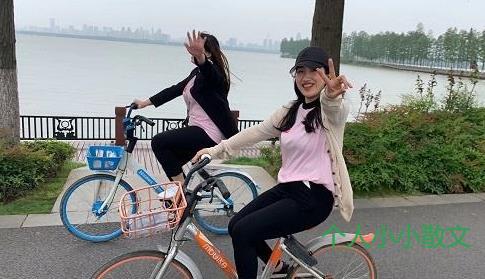 奋力的近义词