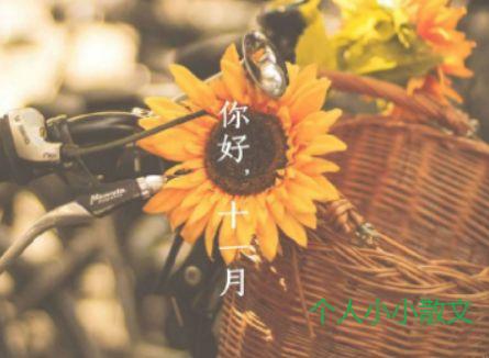 十一月,等初雪带路 十一月,等初雪带路