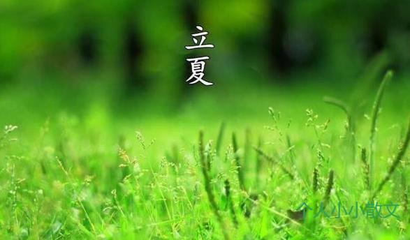 蛙声蝉鸣 今日立夏