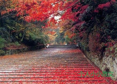 石刻奇文《栖霞山读易记》中的大智慧
