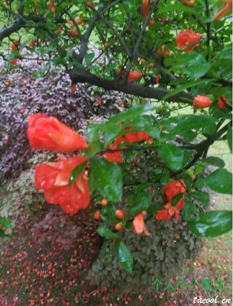 雨中的早晨